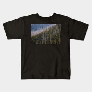 Falls Creek Victoria - Regrowth Kids T-Shirt